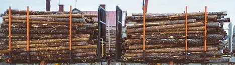 Tartak TomDrew Rzesz&oacute;w